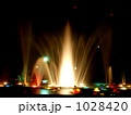 1028420