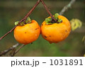 1031891
