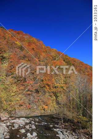 世界自然遺産 白神山地 世界自然遺産 白神山地 1033161