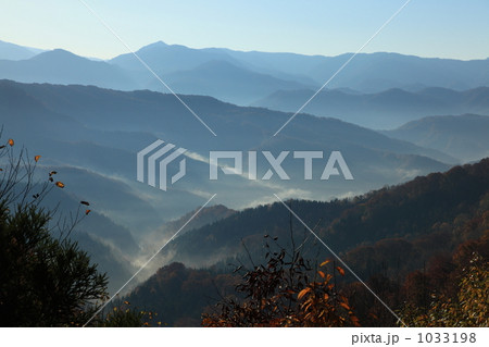 白神山地の朝 白神山地の朝 1033198