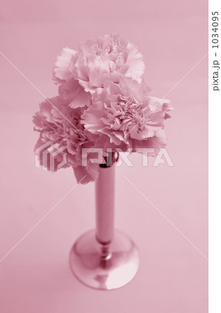 淡い桜色のカーネーション 1034095