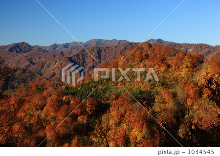 白神山地の紅葉 1034545