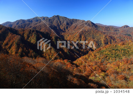 世界自然遺産　白神山地 1034548