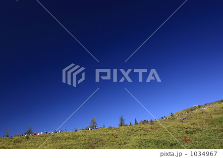 草津白根山に行列をなして登る人々 1034967