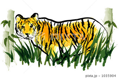 草の中のトラ 草の中のトラ 1035904