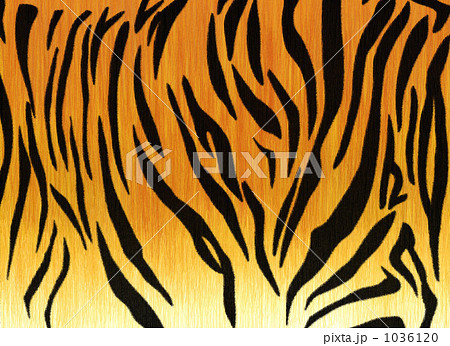虎模様のイラスト素材 1036120 Pixta