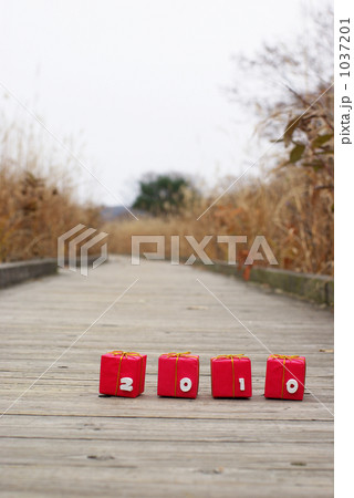 ギフト2010 ギフト2010 1037201