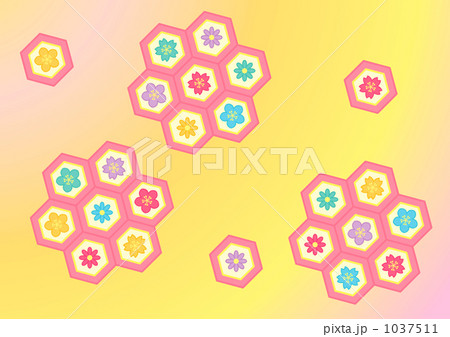 亀甲文様(ピンク) 亀甲文様(ピンク) 1037511