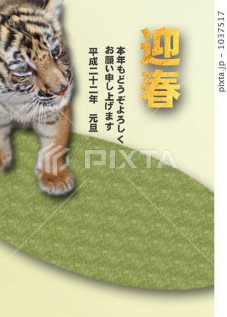 寅の赤ちゃん-迎春 1037517