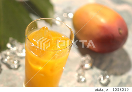 1038019