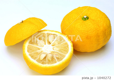 柚子 1040272