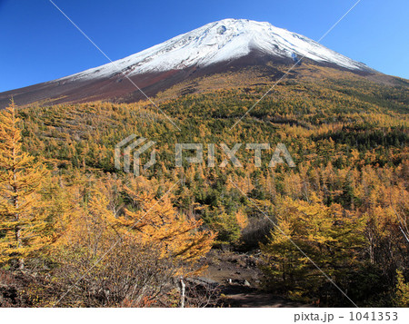 富士山五合目の秋 1041353