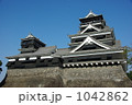 熊本城全景 1042862