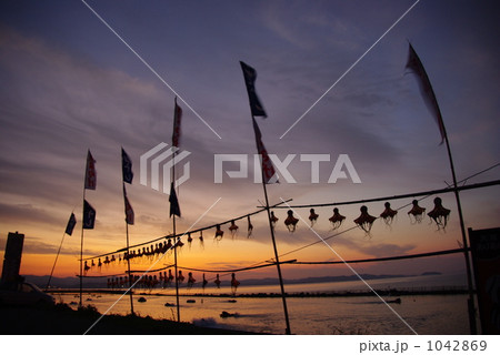 名物タコの干物 1042869