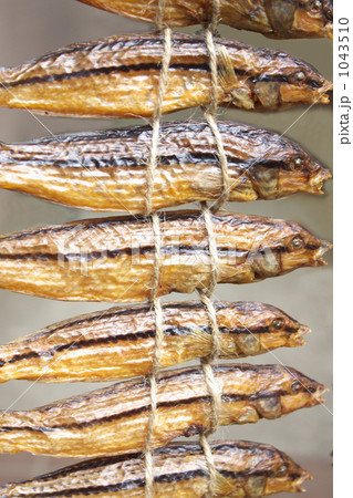 九仙 九仙 1043510