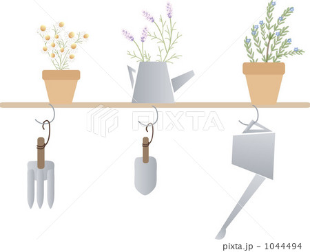 ハーブ ハーブ 1044494