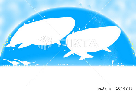 大空くらいあるドーム子供クジラ(イラスト) 大空くらいあるドーム子供クジラ(イラスト) 1044849