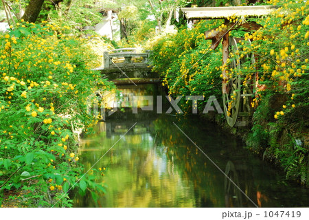 春風薫る 1047419