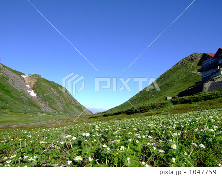 乗鞍 1047759