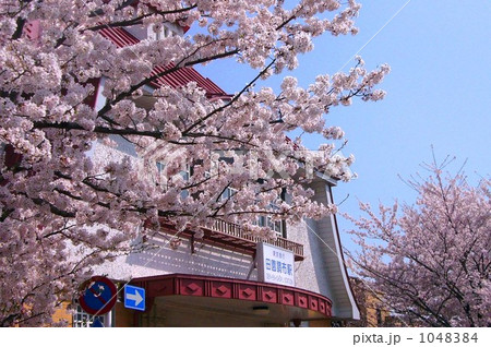 桜 桜 1048384