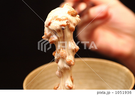 ねばねば納豆 1051936