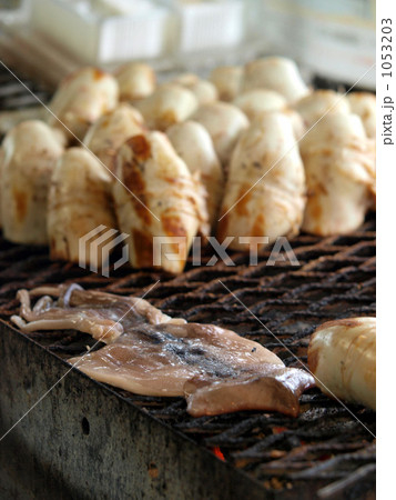 イカ焼きの店 1053203