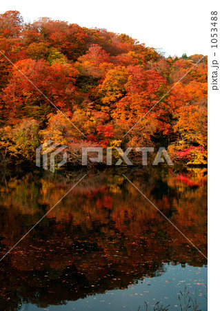 十二湖　二つ目池 1053488