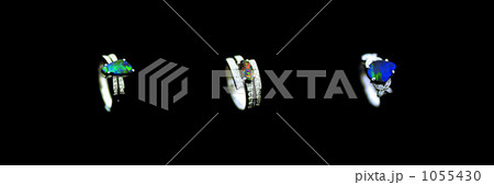 オパールリング 1055430