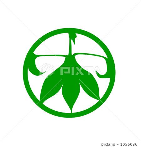 花紋１　サワギキョウ 1056036