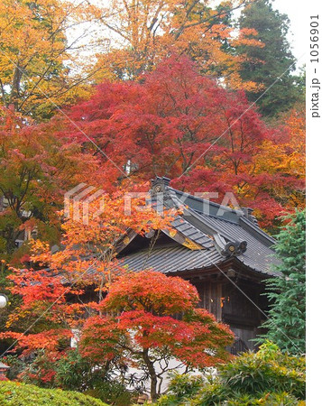永源寺の秋　大子町　九 1056901