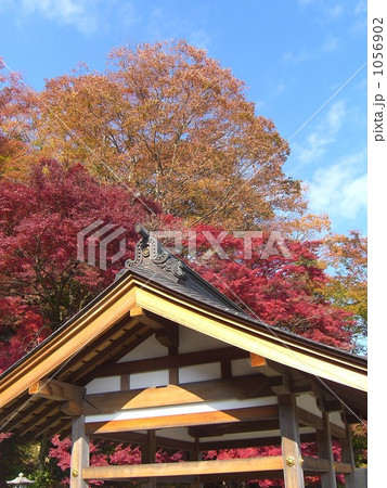 永源寺の秋　大子町　十 1056902