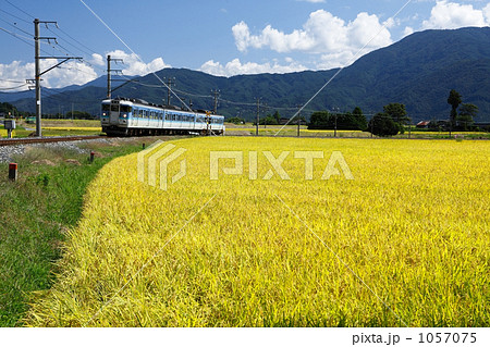 田園風景と飯田線 1057075