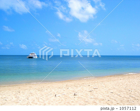 フランクランド島 1057112