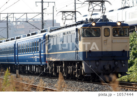 EF65 1130号車 EF65 1130号車 1057444