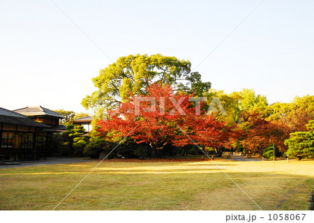 渉成園 ろう風亭前庭 渉成園 ろう風亭前庭 1058067