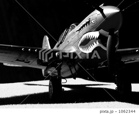 P-40E P-40E 1062344