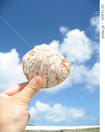 貝と青空 1064130