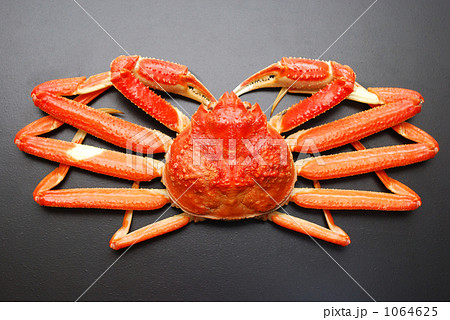 ずわい蟹 1064625