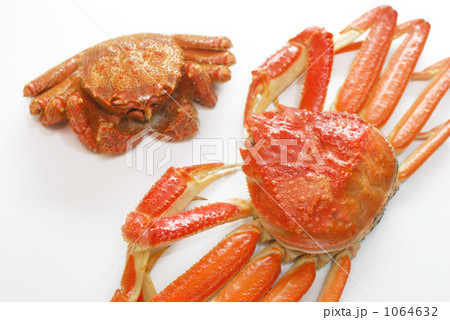 カニ 1064632