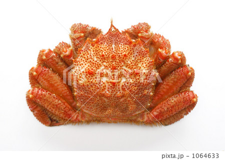 毛がに 1064633
