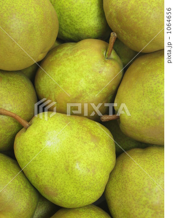 ラ・フランス 1064656