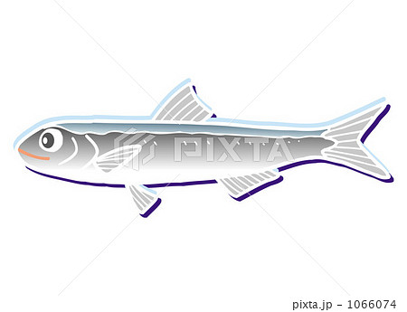 ちりめん　20091115＿79 1066074