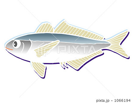 マアジ 20091115_76 マアジ 20091115_76 1066194