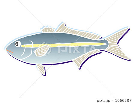 かんぱち　20091115＿72 1066207