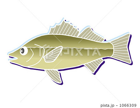 スズキ 20091115_54 スズキ 20091115_54 1066309