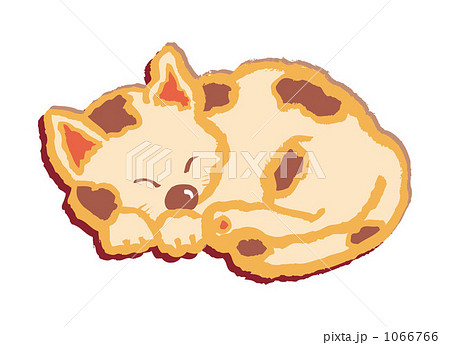 猫　20091113＿39 1066766