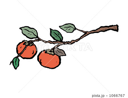 柿　20091113＿38 1066767