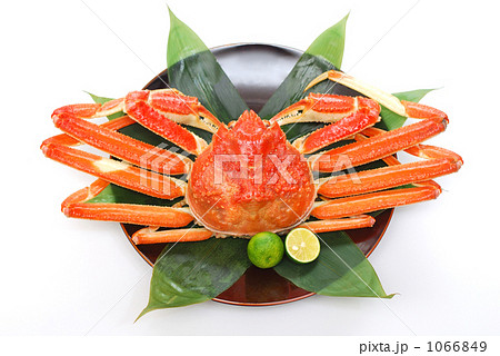 ずわい蟹 1066849