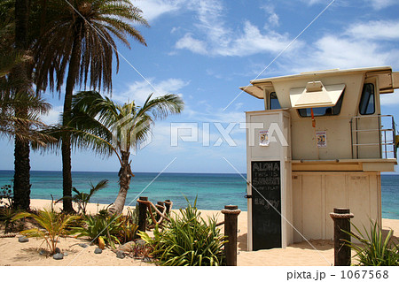 ノースショア 1067568