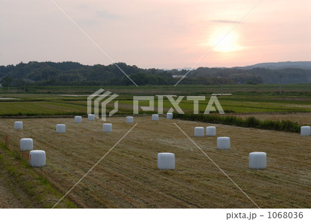 夕暮れの耕作地 1068036